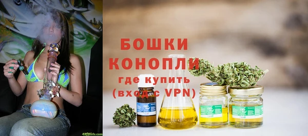 твердый Иннополис