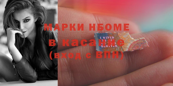 твердый Иннополис