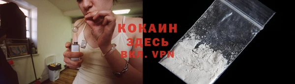 твердый Иннополис